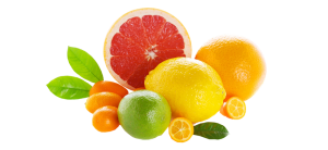 Vitamina C